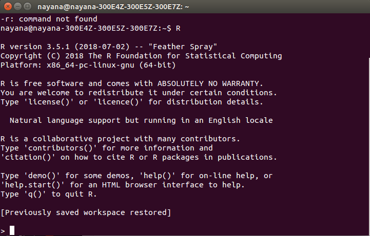 R Using Ubuntu Terminal